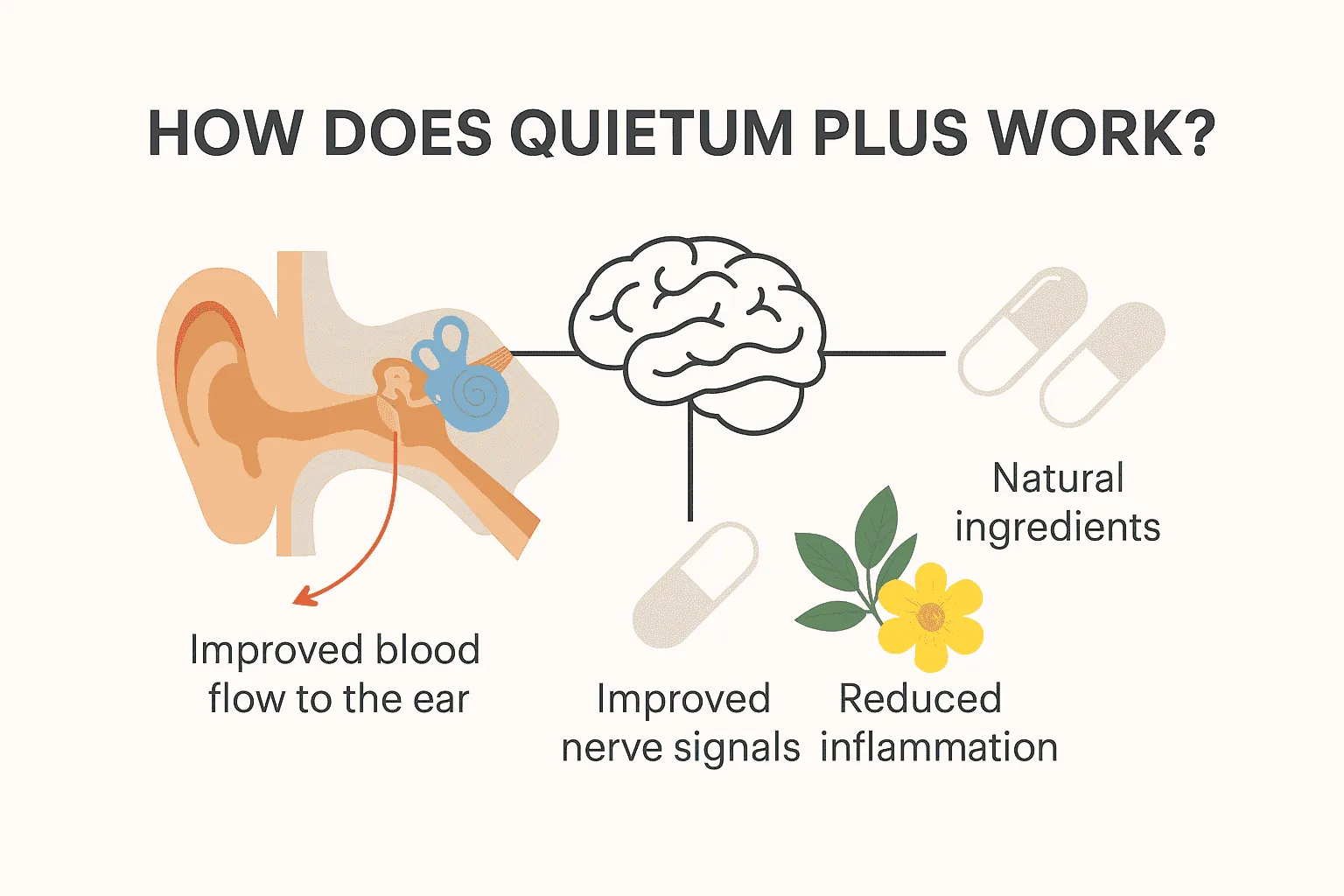 quietum-plus™