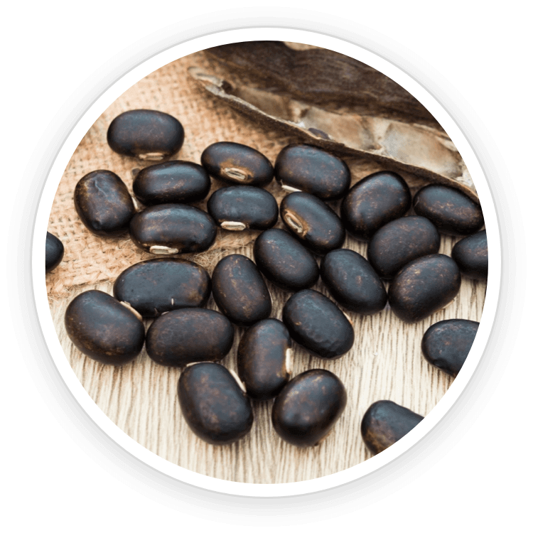 quietum-plus™-ingredients-1